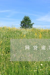 网贷逾期一次会有影响吗 网贷逾期一次会有影响吗