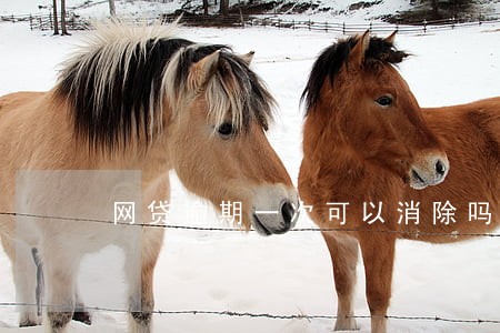 网贷逾期一次可以消除吗 网贷逾期一次可以消除吗