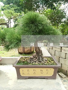 网贷逾期一次可以申请信用卡吗 网贷逾期一次可以申请信用卡吗