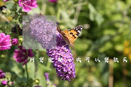 网贷逾期一次可以贷款买房吗 网贷逾期一次可以贷款买房吗