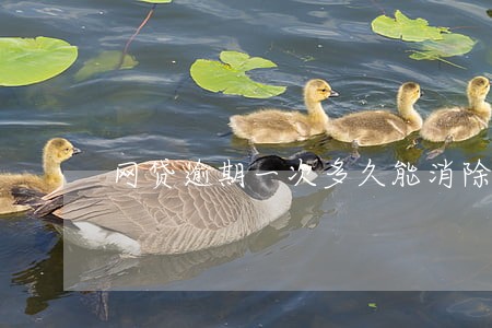 网贷逾期一次多久能消除影响 网贷逾期一次多久能消除影响