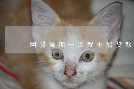 网贷逾期一次就不能贷款了吗 网贷逾期一次就不能贷款了吗