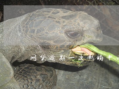 网贷逾期一次影响申请房贷吗 网贷逾期一次影响申请房贷吗
