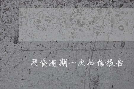 网贷逾期一次征信报告 网贷逾期一次征信报告