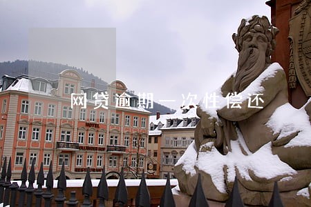 网贷逾期一次性偿还 网贷逾期一次性偿还