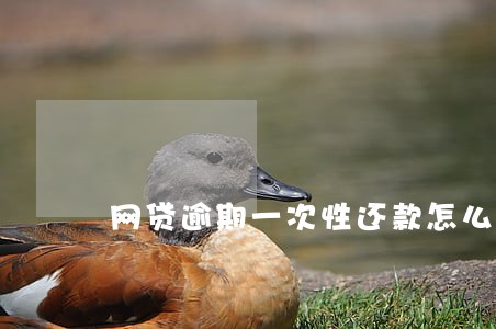 网贷逾期一次性还款怎么还 网贷逾期一次性还款怎么还