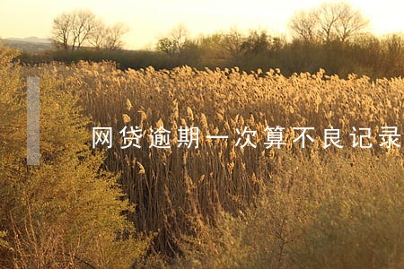 网贷逾期一次算不良记录吗 网贷逾期一次算不良记录吗