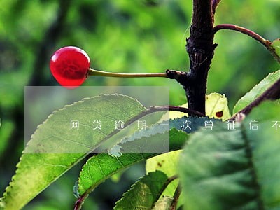 网贷逾期一次算征信不良吗 网贷逾期一次算征信不良吗