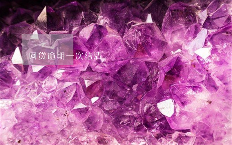 网贷逾期一次结清 网贷逾期一次结清