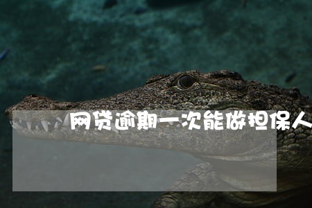 网贷逾期一次能做担保人吗 网贷逾期一次能做担保人吗