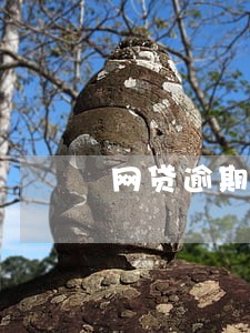 网贷逾期一次能办信用卡吗 网贷逾期一次能办信用卡吗