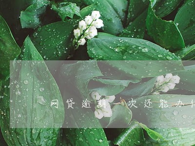 网贷逾期一次还能办信用卡吗