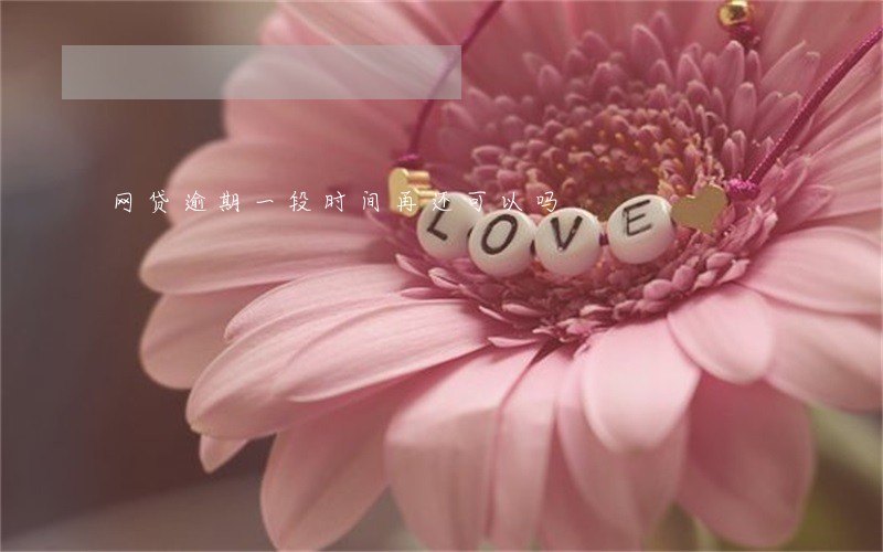 网贷逾期一段时间再还可以吗 网贷逾期一段时间再还可以吗