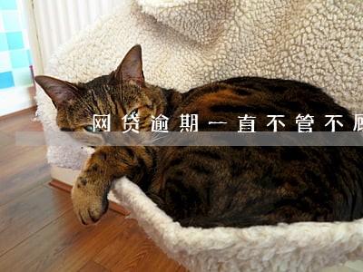 网贷逾期一直不管不顾 网贷逾期一直不管不顾