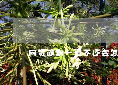 网贷逾期一直不还会怎样 网贷逾期一直不还会怎样