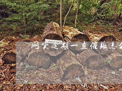 网贷逾期一直催账怎么办 网贷逾期一直催账怎么办