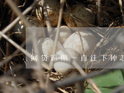 网贷逾期一直往下掉怎么办