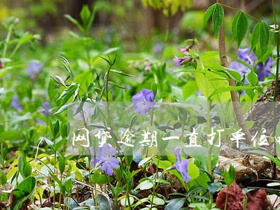 网贷逾期一直打单位电话 网贷逾期一直打单位电话