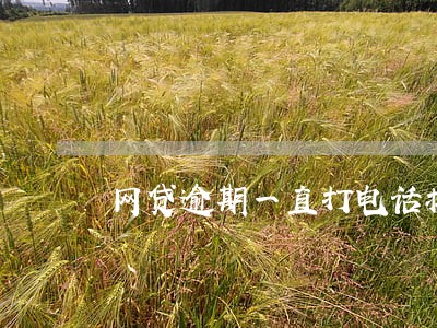 网贷逾期一直打电话接不接 网贷逾期一直打电话接不接