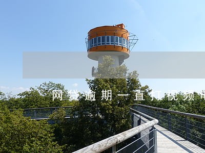 网贷逾期一直打视频电话