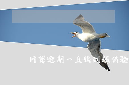 网贷逾期一直收到短信验证码 网贷逾期一直收到短信验证码