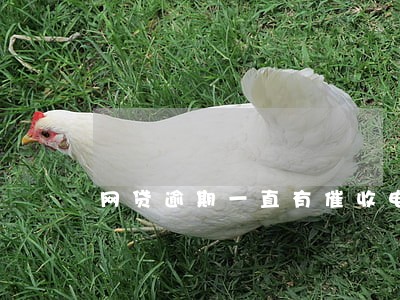 网贷逾期一直有催收电话 网贷逾期一直有催收电话