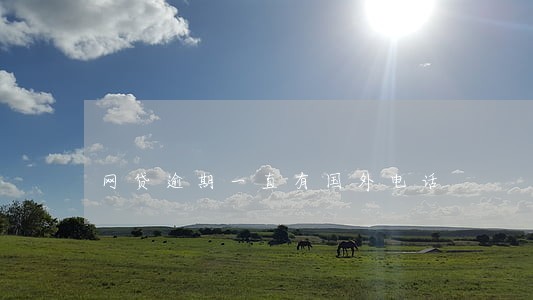 网贷逾期一直有国外电话 网贷逾期一直有国外电话