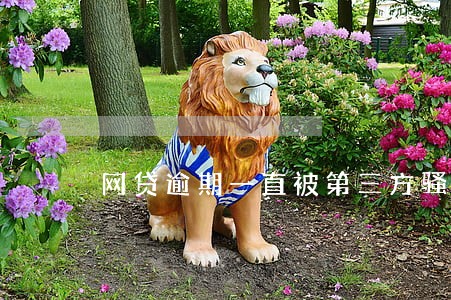 网贷逾期一直被第三方骚扰 网贷逾期一直被第三方骚扰