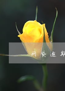 网贷逾期一般以什么名义追诉 网贷逾期一般以什么名义追诉