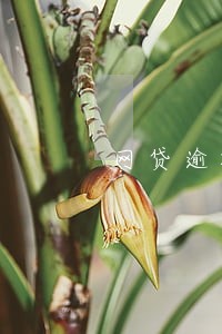 网贷逾期一般会上门吗 网贷逾期一般会上门吗