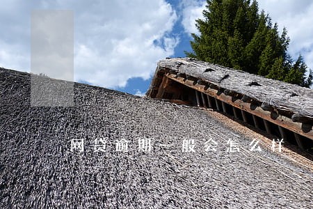 网贷逾期一般会怎么样 网贷逾期一般会怎么样