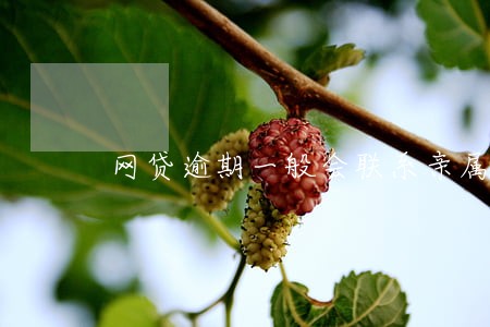网贷逾期一般会联系亲属几次 网贷逾期一般会联系亲属几次