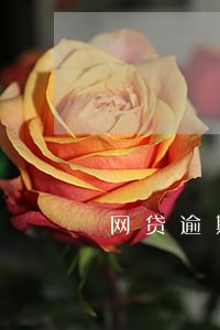 网贷逾期一般会联系谁 网贷逾期一般会联系谁