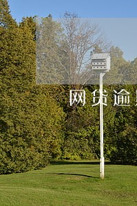 网贷逾期一般会骚扰通讯录多久 网贷逾期一般会骚扰通讯录多久