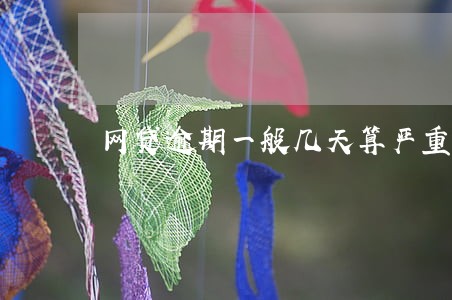 网贷逾期一般几天算严重 网贷逾期一般几天算严重