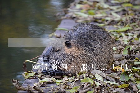网贷逾期一般几点上门 网贷逾期一般几点上门