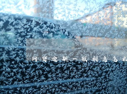网贷逾期一般利息怎么算的 网贷逾期一般利息怎么算的