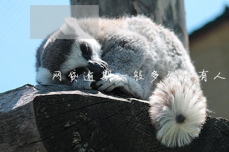 网贷逾期一般多久会有人追债