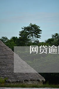 网贷逾期一般多久恢复