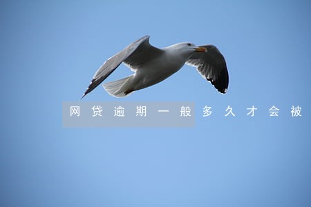 网贷逾期一般多久才会被起诉 网贷逾期一般多久才会被起诉