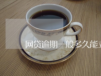 网贷逾期一般多久能立案