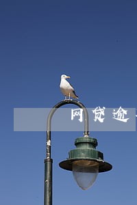 网贷逾期一般多少万 网贷逾期一般多少万