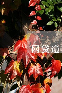 网贷逾期一般多长时间 网贷逾期一般多长时间
