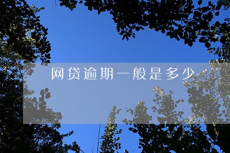 网贷逾期一般是多少