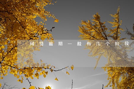 网贷逾期一般有几个阶段 网贷逾期一般有几个阶段