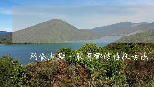 网贷逾期一般有哪些催收方法 网贷逾期一般有哪些催收方法