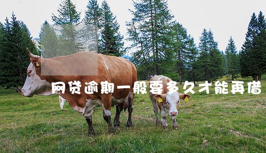 网贷逾期一般要多久才能再借 网贷逾期一般要多久才能再借