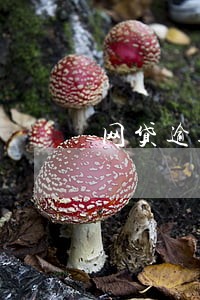 网贷逾期一通电话也没接 网贷逾期一通电话也没接