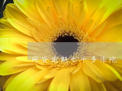 网贷逾期七千多法院