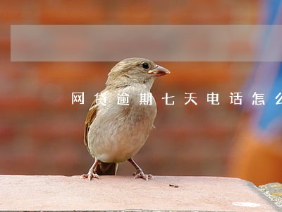 网贷逾期七天电话怎么处理 网贷逾期七天电话怎么处理